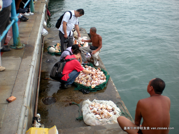 山东：桥旁卖贝壳的人