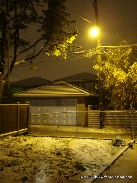 温哥华今夜下雪了