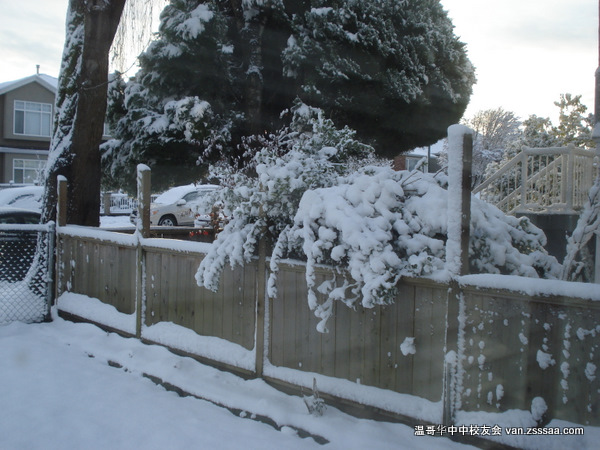 篱笆墙上的晨雪