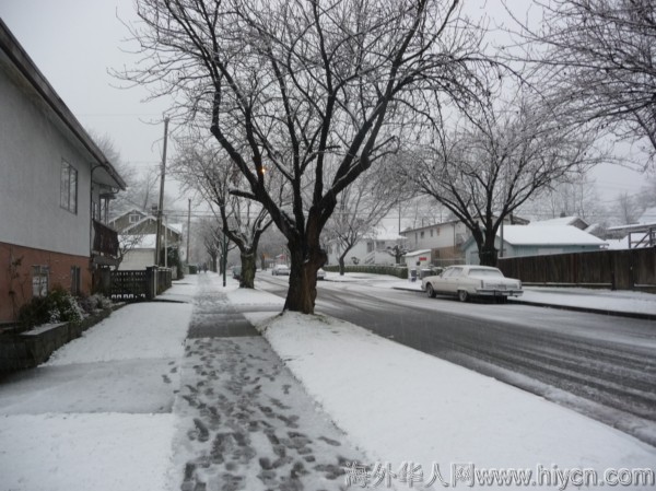 温哥华今天下雪了