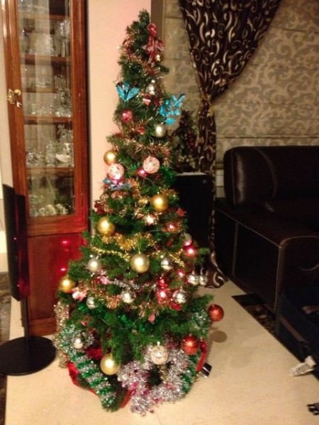 海蔚家的圣诞树