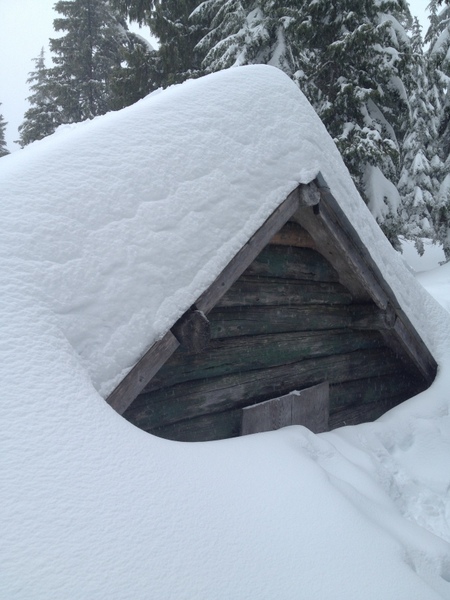 这小屋就给雪掩埋了。